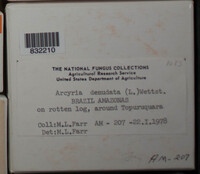 Image Associated With the Occurence